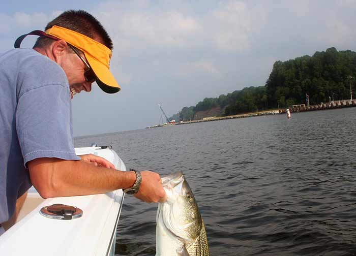 A white man wearing a t-shirt, a yellow visor hat and sunglasses is lipping a large silver fish from his boat.