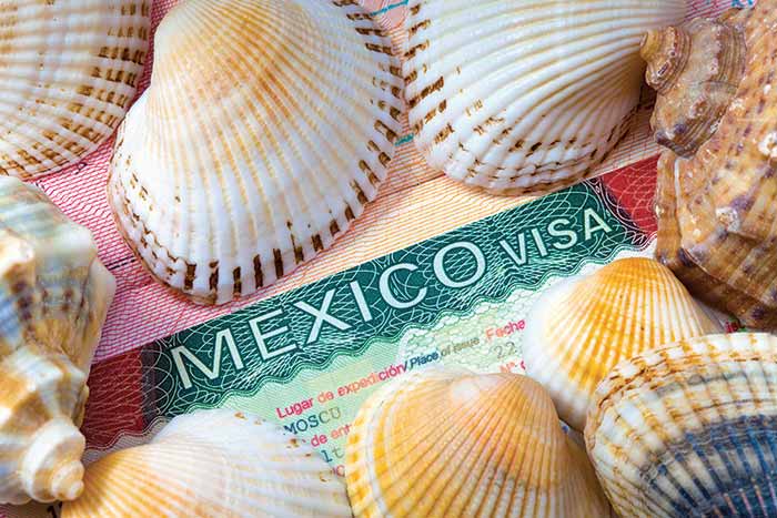 Seashells surrounding Mexican Visa