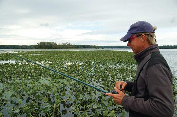 A man wearing a blue baseball hat and red sunglasses reels his fishing rod in from water covered in plants