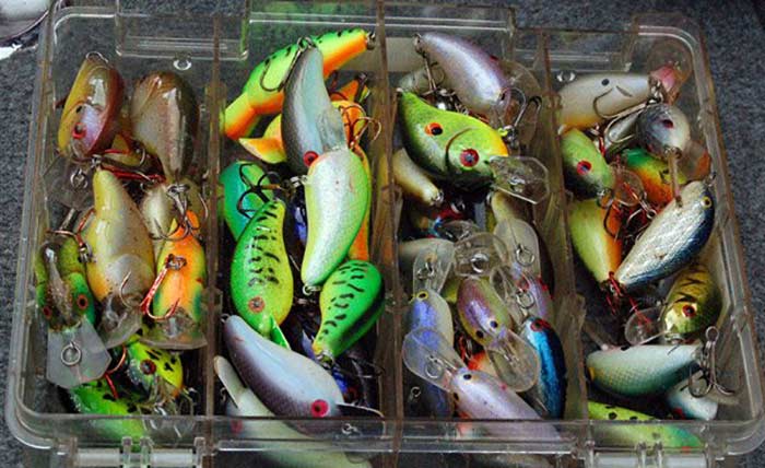 A plastic container divided into fours filled with an assortment of colorful fishing lures