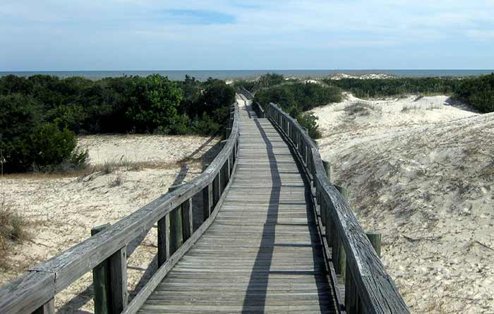 Boardwalk connects beach to maritime forest