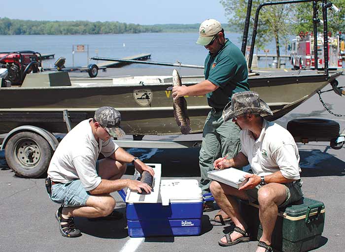 U.S. Fish and Wildlife Service staff survey Northern Snakehead Fish