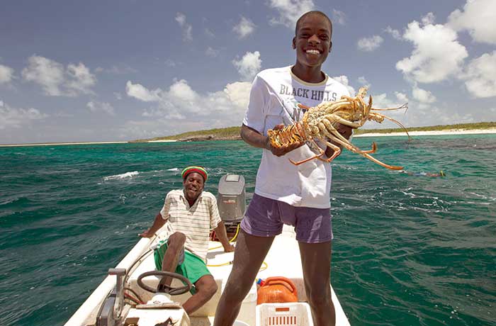 Catching spiny lobster