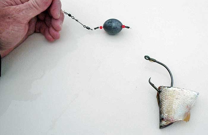 Circle hook best for catch and release