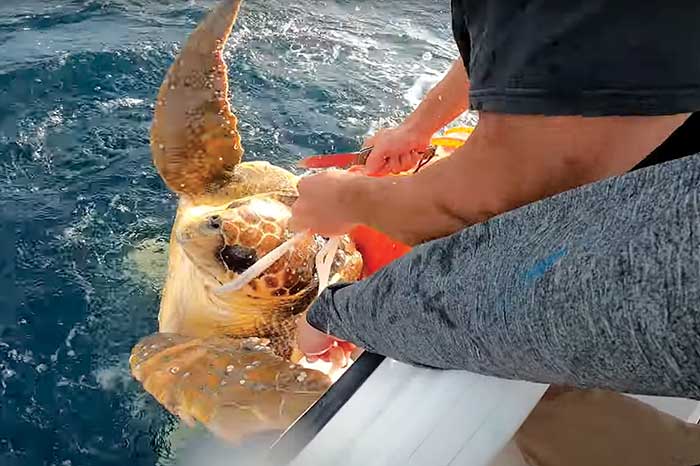 TowBoatUS Daytona rescues errant weather buoy with sea turtle attached