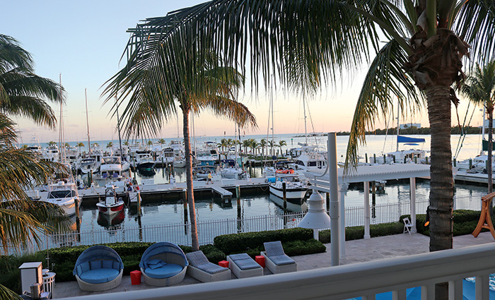 View from behind palm trees of numerous vessels docked at sunset.