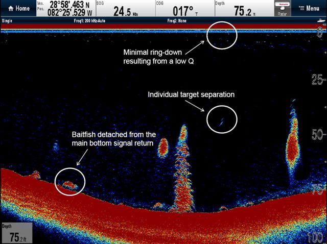 What is a Fishfinder and How Does it Work?