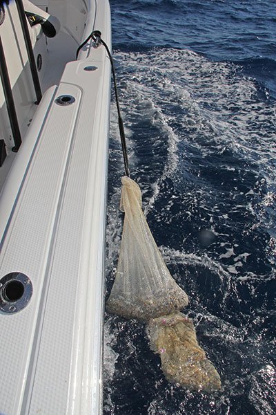 Trailing Chum Bait in the Water