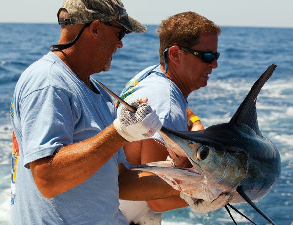 Living Up to Its Billing: The White Marlin Open