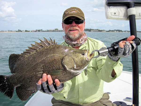 Crab trap lines attract cobia, tripletail