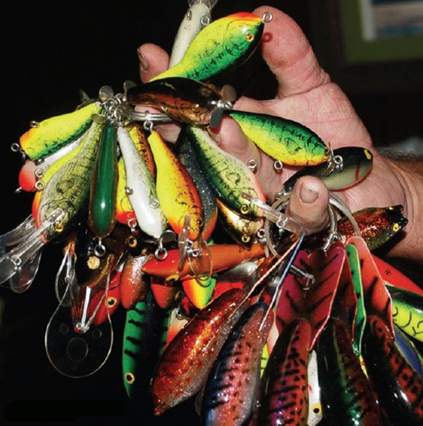 bagley honey b lures products for sale
