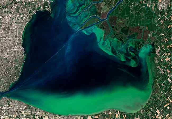 A map of a green algae bloom