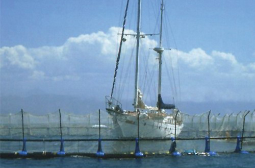 Sailboat caught in Tuna Pen