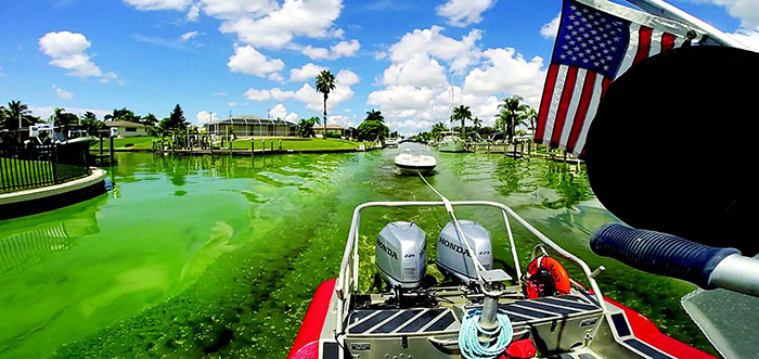 Algae Bloom Behind Boat
