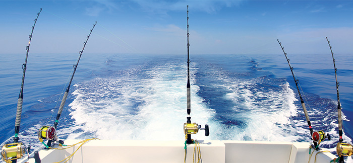 speed hook fishing - Pesquisa Google  Trout fishing tips, Fishing tips,  Fishing techniques