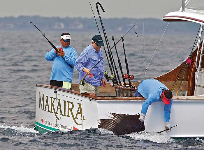 Three men fishing of a large charter boat off the coast of Guatemala; one man lean over the rail to capture a sailfish