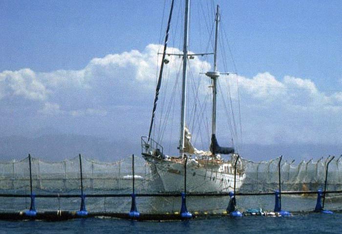 Large sailboat caught in tuna pen