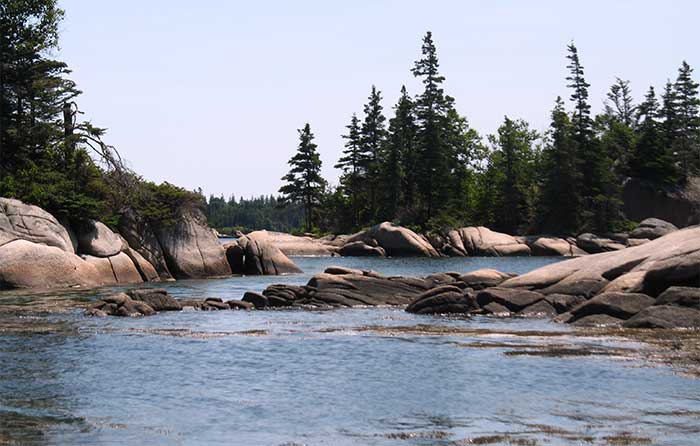 A body of water with smooth rocks  protruding. Tall evergreen type trees outline the shore.