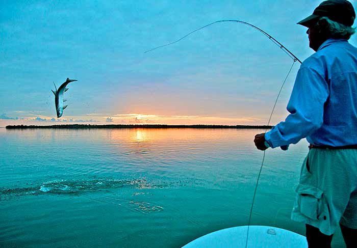 Tips For Taking Better Fishing Photos