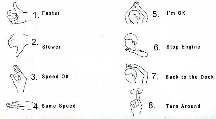 Waterskiing hand signals illustration