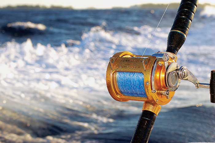 Fishing Rod Reel Broken Into Parts Stock Photo - Download Image