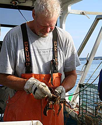 Lobsterman Mark Billings