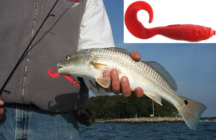 fishing lure Salamanderit is part hard plastic and part soft