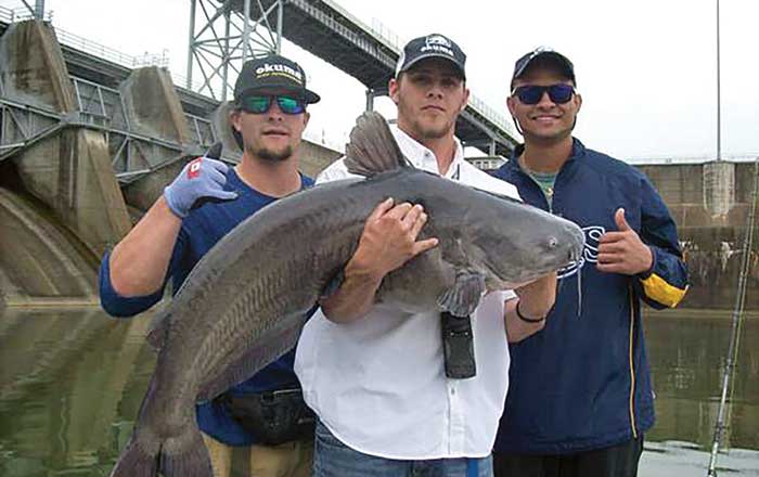 Ultimate Jugging Produces Catfish Feeding Frenzy on Millers Ferry