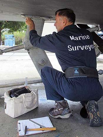 Marine surveyor