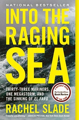 Into The Raging Sea book cover