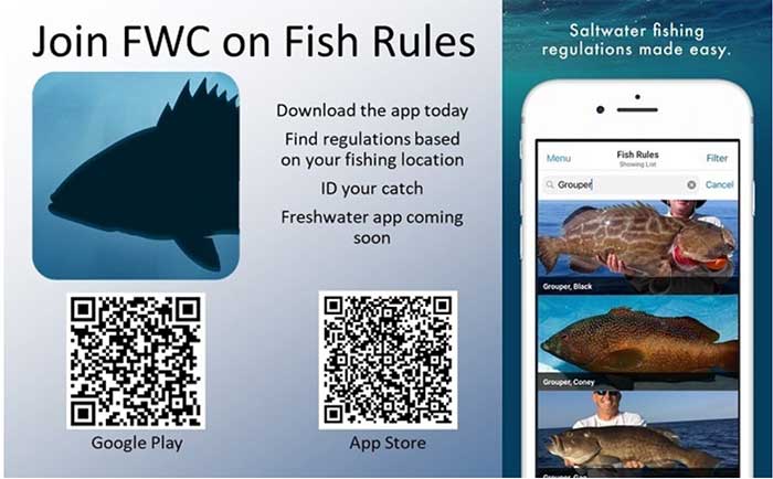 Fishing Rules app