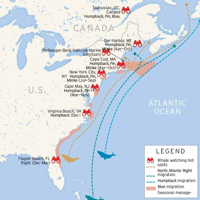 East Coast whale watching map