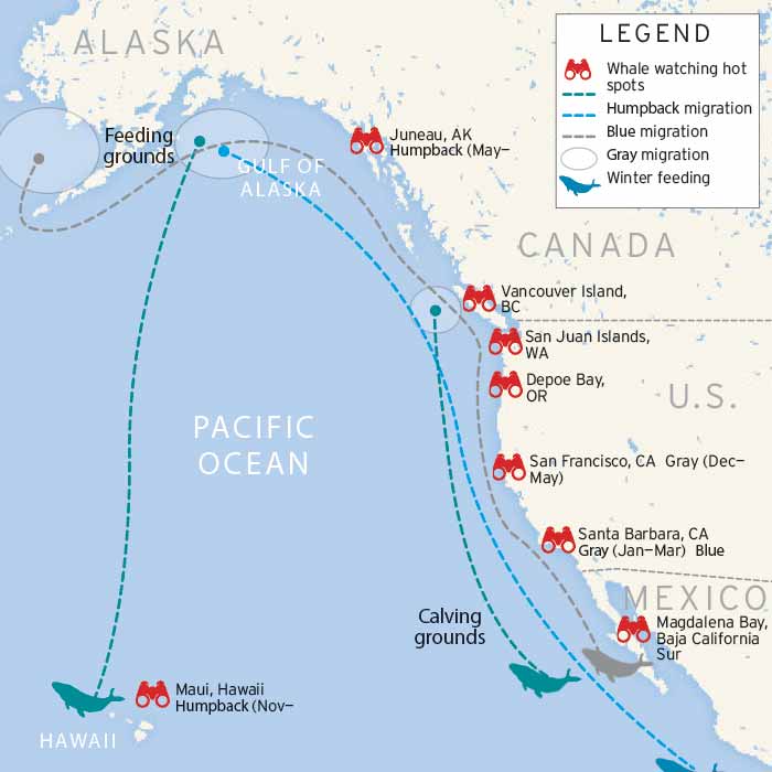 West Coast whale watching map