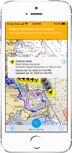 Whale Alert app