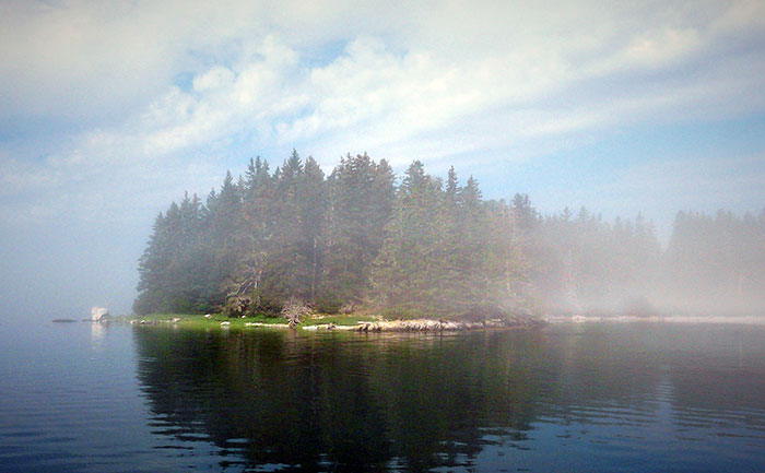 Outer Scott Island in the fog