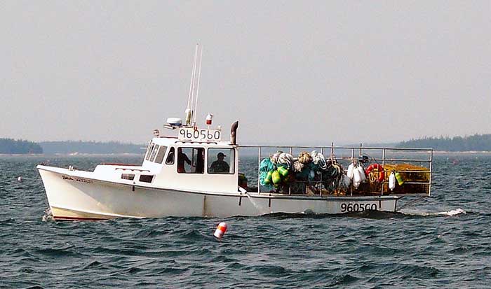 Penobscot Bay lobster boat at work