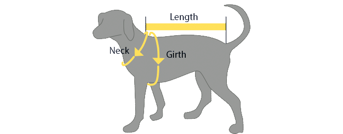 Dog life jacket measurements illustration