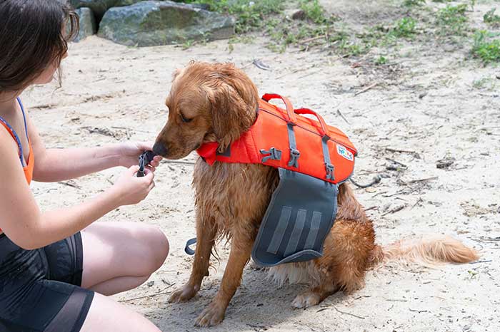 Finn being fitted in  life jacket
