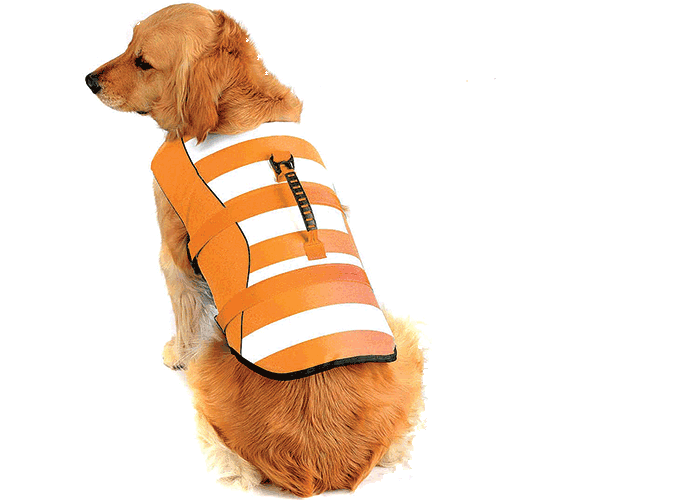Fragralley High-Vis Dog Life Jacket