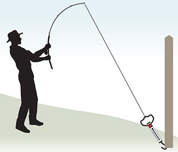 Fishing reel drag illustration