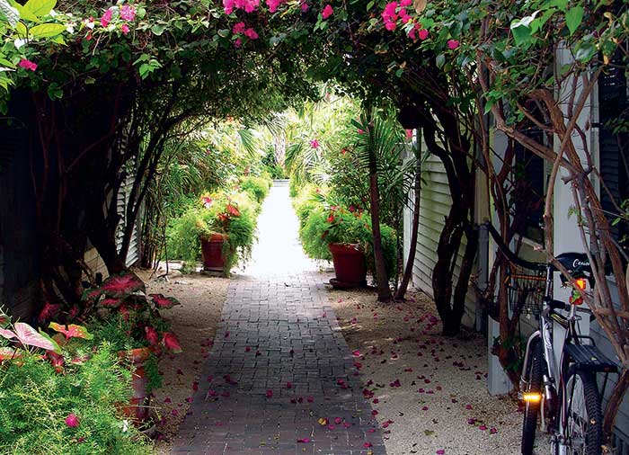 Key West garden