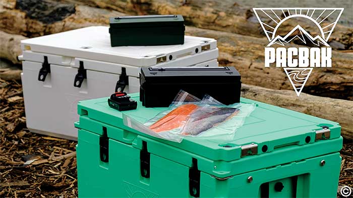 Coolers in white and green colors with fish filets sealed in plastic on top of green cooler