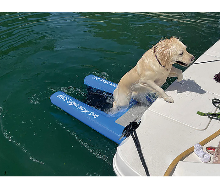 Golden retriever dog using a blue inflatable ramp to get out of the water and on a boat.