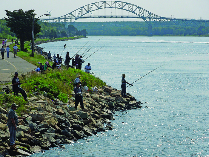 A group of people fishing off the shore of the Cape Cod Canal during a sunny day.