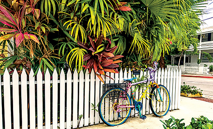 Blue bicycle leaning against a white picket fence with colorful leaves 