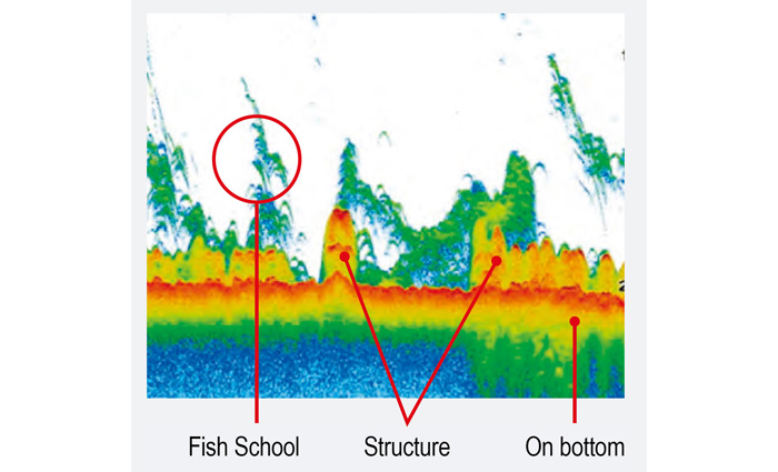 Sonar radar showing fish school, structure and fish on bottom
