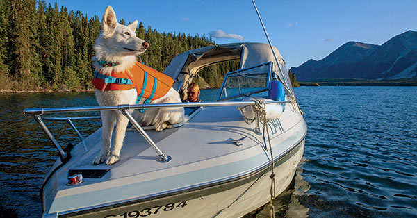 6 Tips for Boating with Your Dog (Tips from a Boat Dog Mom)