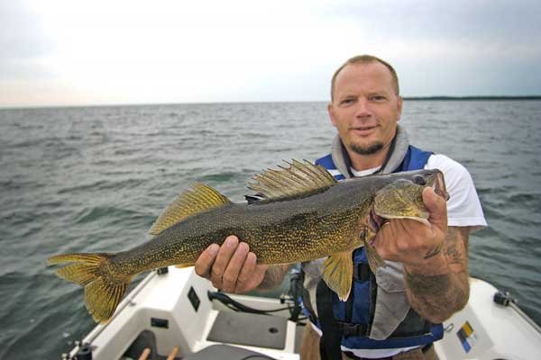 Walleye: Now The Top Of The Food Chain - BoatUS Magazine