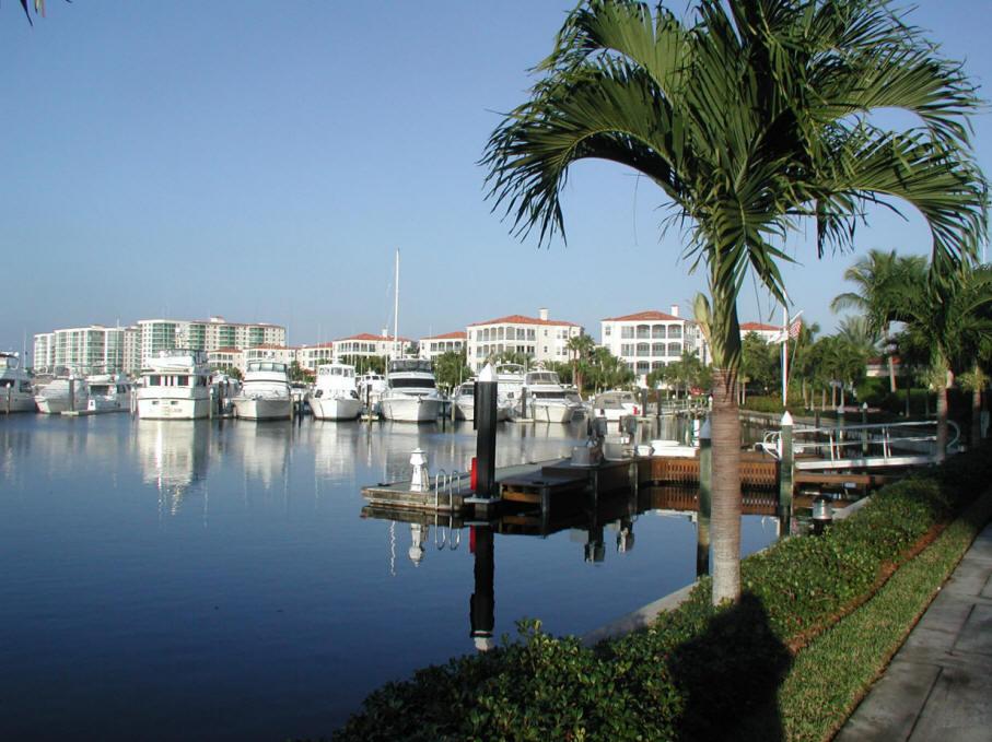 Gulf Harbour Marina