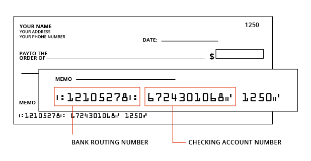 check number writing